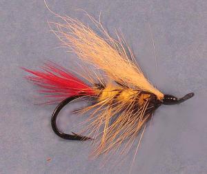 Picture of Kalama Special Fly