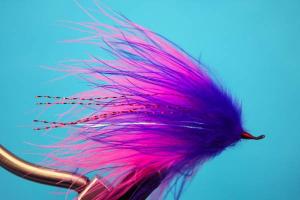 Picture of Showgirl Fly