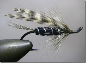 Picture of Silver Hilton Fly