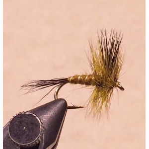 Western Green Drake Fly Recipe | Fly Tying Recipes | Tie the Flies