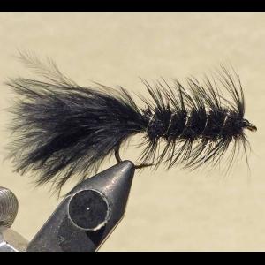 Picture of Woolly Bugger Fly